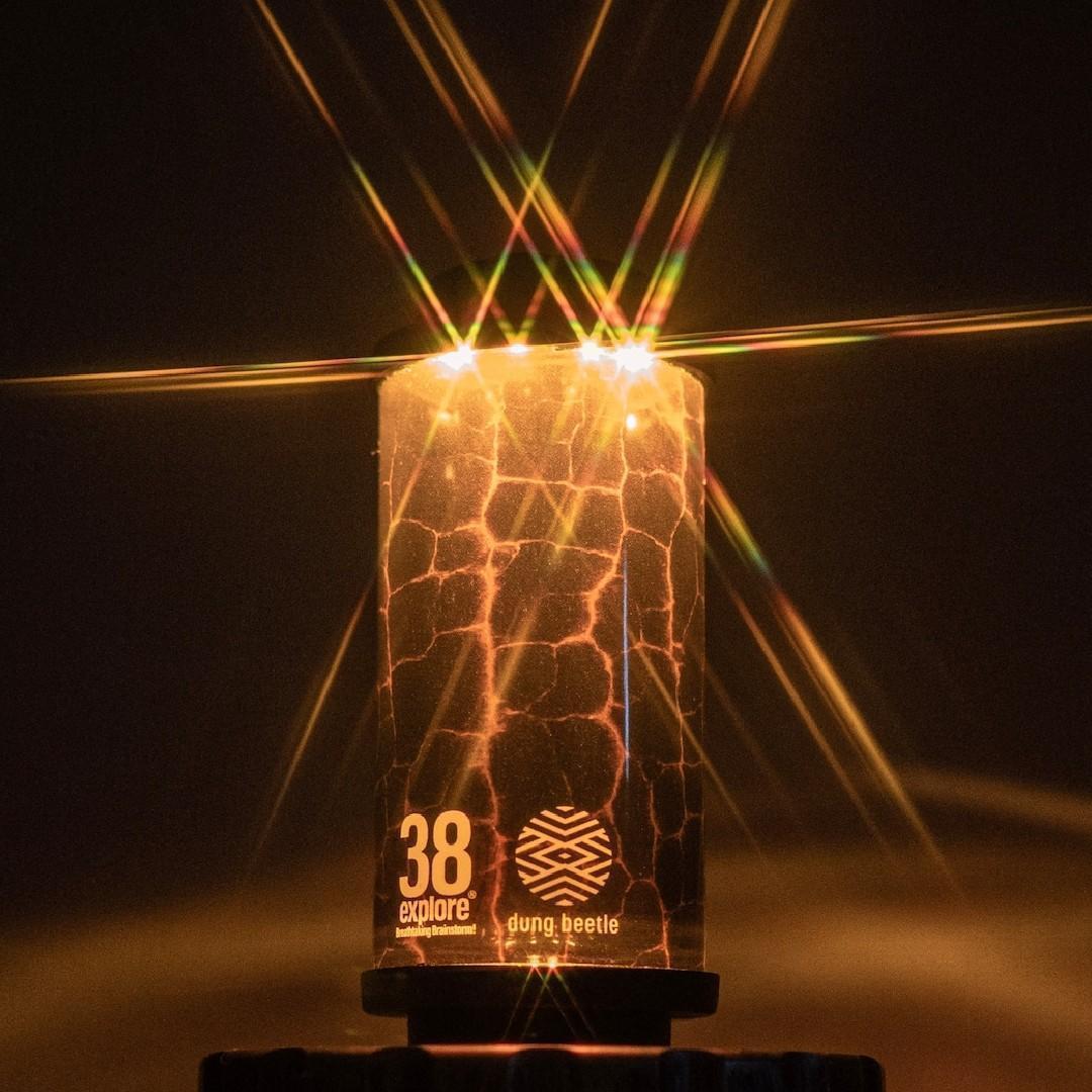 イベント限定 38-kT OKIBI 38explore dung beetle